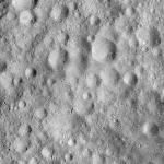 FC21A0008157_11275014929F3X.jpg