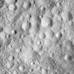 FC21A0008158_11275014935F4X.jpg