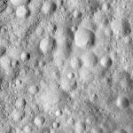 FC21A0008159_11275014941F5X.jpg