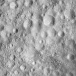 FC21A0008161_11275014954F7X.jpg