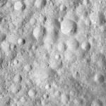 FC21A0008162_11275015002F8X.jpg