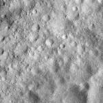 FC21A0008165_11275015505F3X.jpg