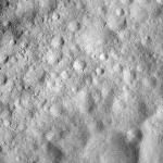 FC21A0008166_11275015513F4X.jpg