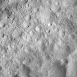 FC21A0008169_11275015532F7X.jpg