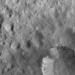 FC21A0008171_11275020017F1X.jpg