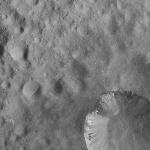 FC21A0008172_11275020023F2X.jpg