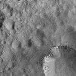 FC21A0008173_11275020031F3X.jpg