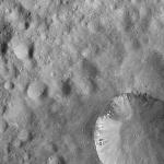 FC21A0008176_11275020052F6X.jpg