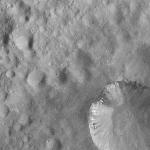 FC21A0008178_11275020110F8X.jpg