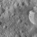 FC21A0008179_11275020547F1X.jpg