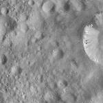 FC21A0008184_11275020619F6X.jpg