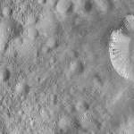 FC21A0008186_11275020632F8X.jpg