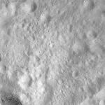 FC21A0008194_11275021207F8X.jpg
