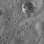FC21A0008204_11275022224F2X.jpg