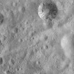 FC21A0008206_11275022243F4X.jpg