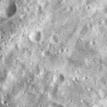 FC21A0008218_11275022839F8X.jpg