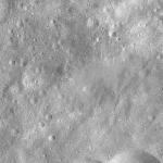 FC21A0008228_11275023853F2X.jpg