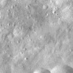 FC21A0008234_11275023934F8X.jpg