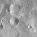 FC21A0008245_11275025004F3X.jpg