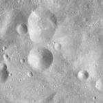FC21A0008246_11275025011F4X.jpg