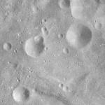 FC21A0008252_11275025525F2X.jpg