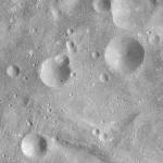 FC21A0008253_11275025533F3X.jpg