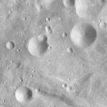 FC21A0008255_11275025548F5X.jpg