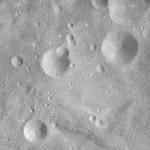 FC21A0008257_11275025603F7X.jpg
