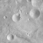 FC21A0008258_11275025609F8X.jpg