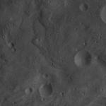 FC21A0008261_11275030502F3X.jpg