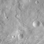 FC21A0008266_11275030540F8X.jpg