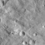 FC21A0008269_11275031701F3X.jpg