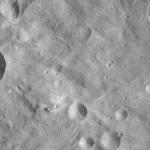 FC21A0008273_11275031725F7X.jpg