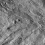 FC21A0008306_11275040540F8X.jpg