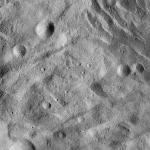 FC21A0008314_11275041740F8X.jpg