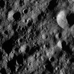 FC21A0008356_11275130949F2X.jpg