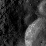 FC21A0008372_11275132548F2X.jpg