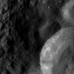 FC21A0008373_11275132554F3X.jpg