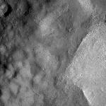 FC21A0008392_11275133716F6X.jpg