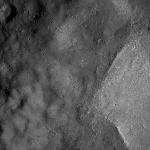 FC21A0008393_11275133722F7X.jpg