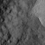 FC21A0008396_11275134217F2X.jpg