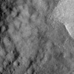 FC21A0008402_11275134259F8X.jpg