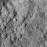 FC21A0008405_11275134759F3X.jpg