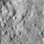 FC21A0008406_11275134809F4X.jpg