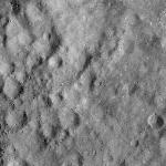 FC21A0008409_11275134830F7X.jpg