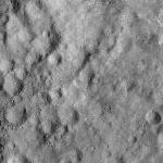 FC21A0008410_11275134836F8X.jpg