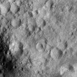 FC21A0008412_11275135317F2X.jpg
