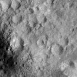 FC21A0008417_11275135351F7X.jpg