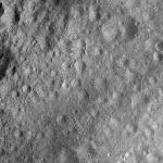 FC21A0008428_11275140417F2X.jpg