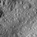 FC21A0008429_11275140423F3X.jpg